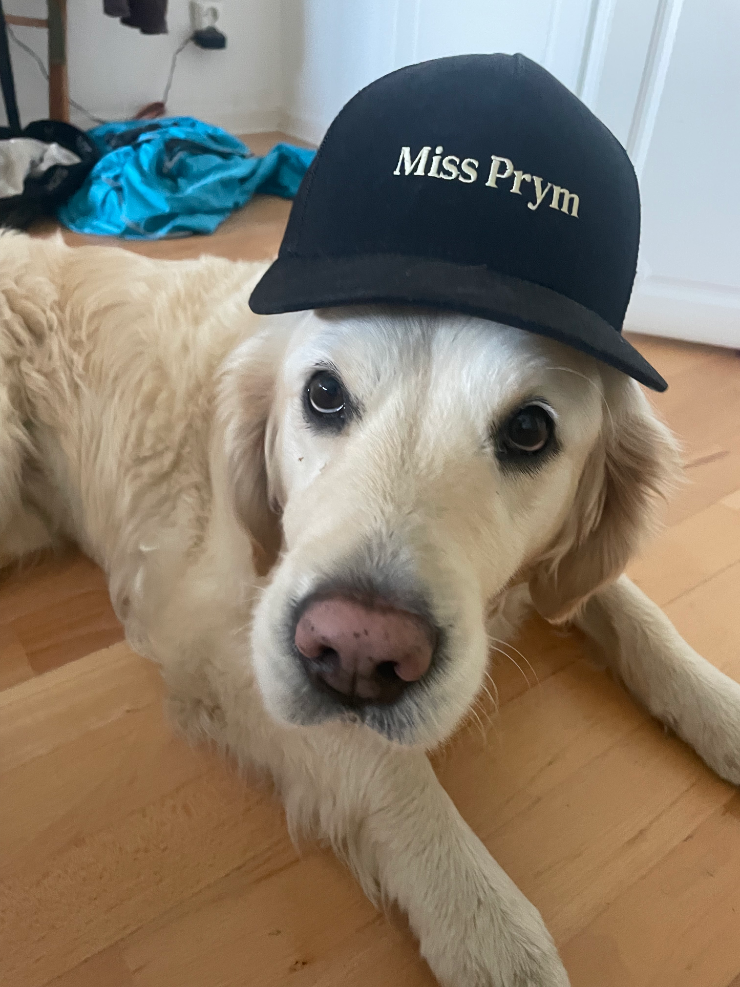 Miss Prym Classic Cap - Embrace the Enigma